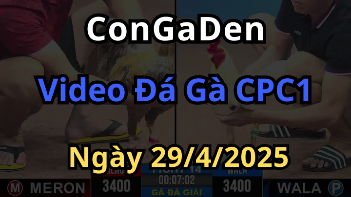 Phát lại Đá Gà Thomo CPC1 ngày 29/4/2025
